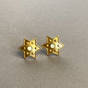 Earrings NEGEV - 2 colors